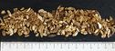 Cèpe Bol. Edulis 2-6 mm BIO TT