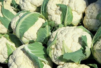 Chou fleur poudre C2x10kg