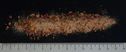 ASSAISONNEMENT SAVEUR TOMATE SECHEE SOLEIL POUDRE
