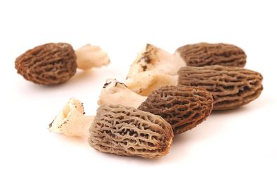 FRESH MOREL FLAVOUR