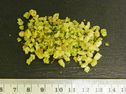 Crumble ail et fines herbes