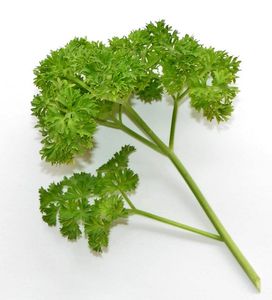 Parsley flavour