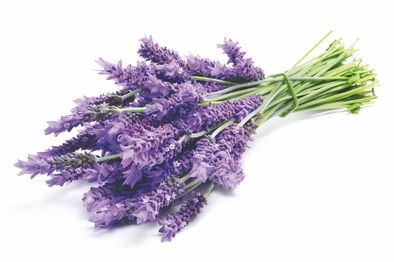 Arôme naturel de lavande