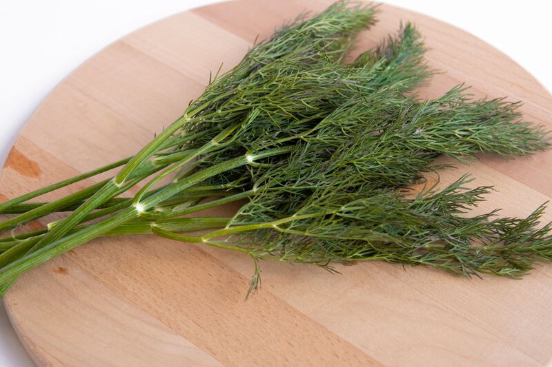 Dill tips HT