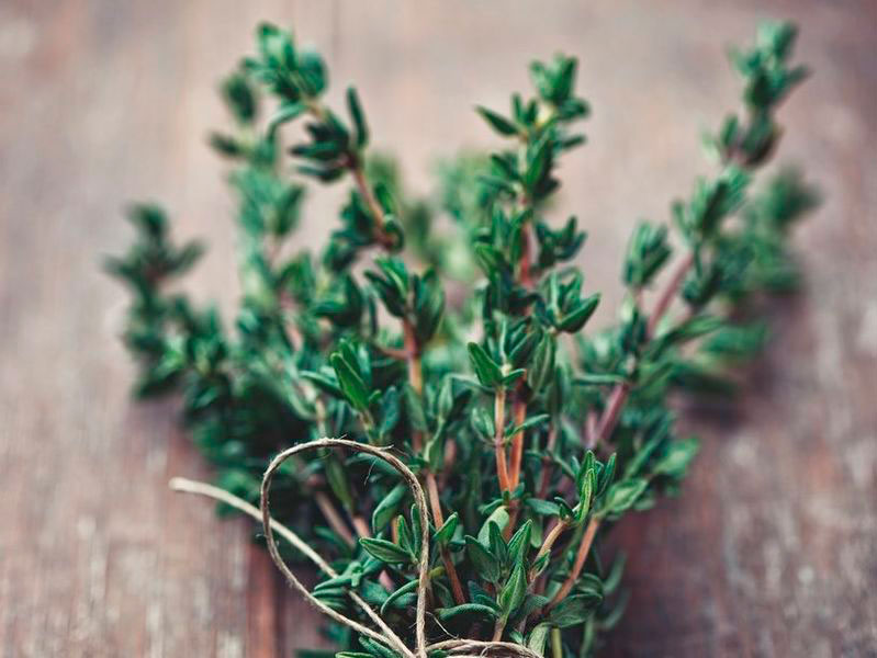 AROMATISATION AIL ET THYM