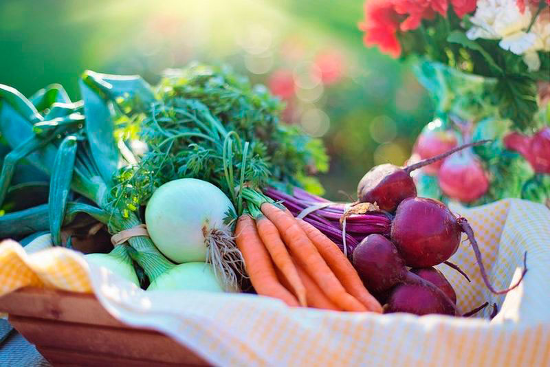 Garden vegetables flavouring