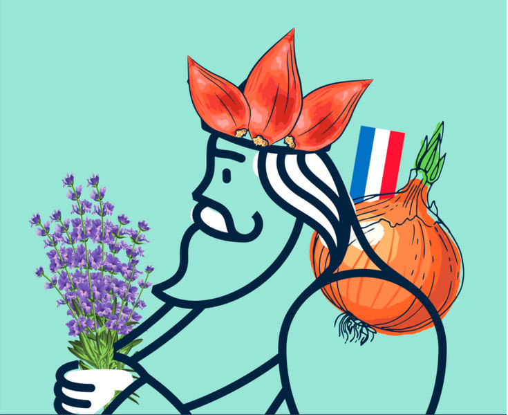 Aromatisation Roi Frenchie