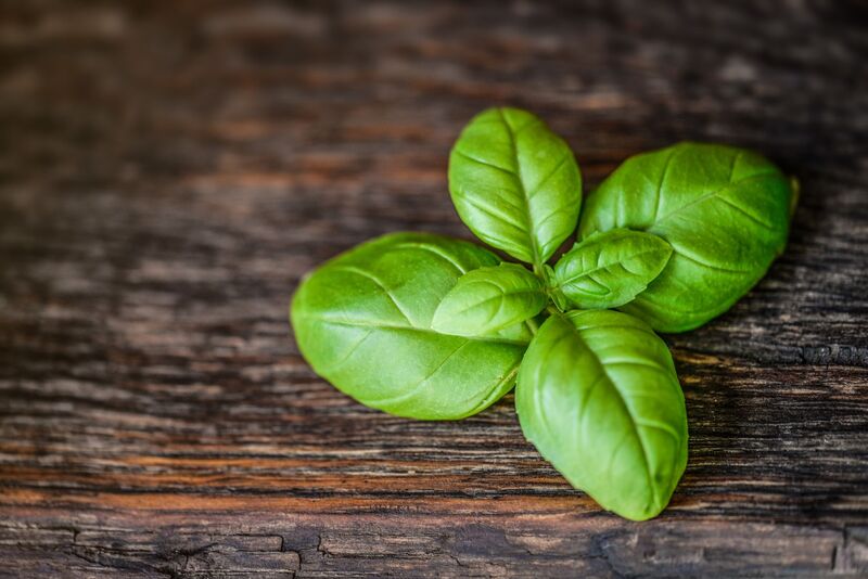 Basil flavour 'holy basil' (natural)