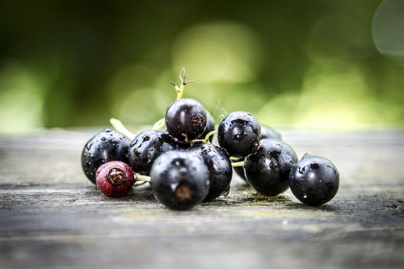 Natural blackcurrant flavour 