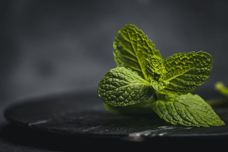 Peppermint flavour NA