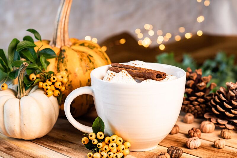PUMPKIN SPICES FLAVOUR NA