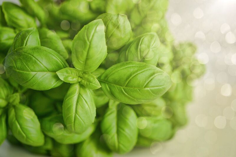 Freeze-dried basil 