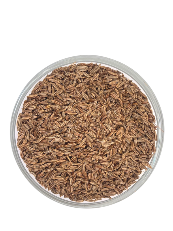 Carvi noir entier France