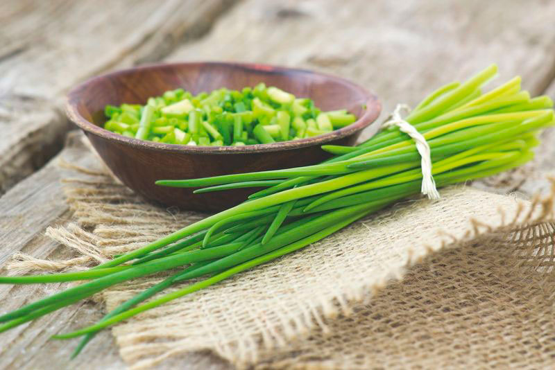 Organic chive rings EU