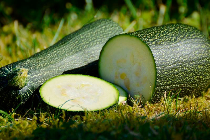 Zucchini 8X8X2 China