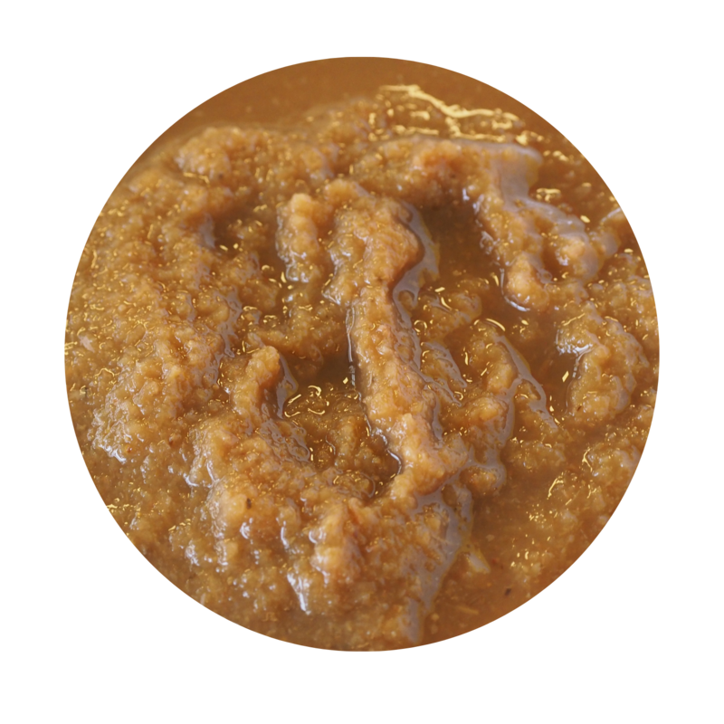 ORGANIC pasteurized shallot purée - origin France