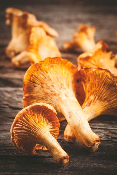 Girolle 3-6 TT
