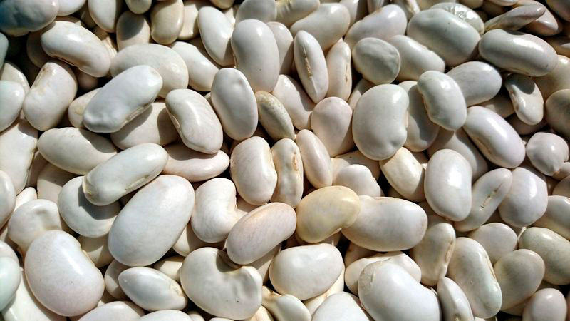 Precooked white beans