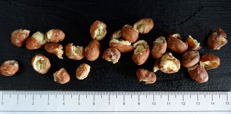 Precooked brown beans