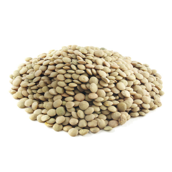 TOASTED PRECOOKED LENTILS