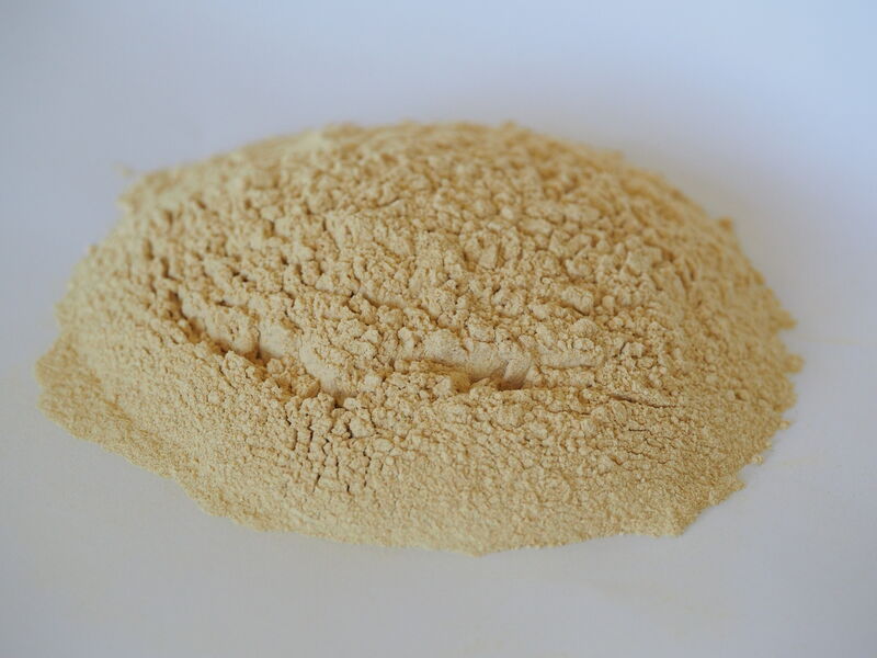 Onion powder - Origin France