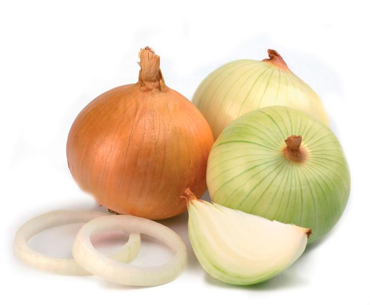 Roasted onion sunflower oil NR