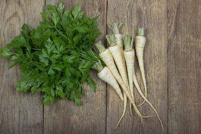 Persil racine 10x10x2