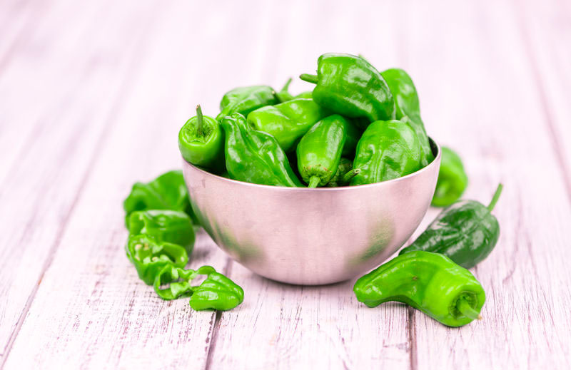 Piment Jalapeno vert 1-3 TT