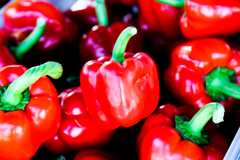 Poivron rouge 4-6