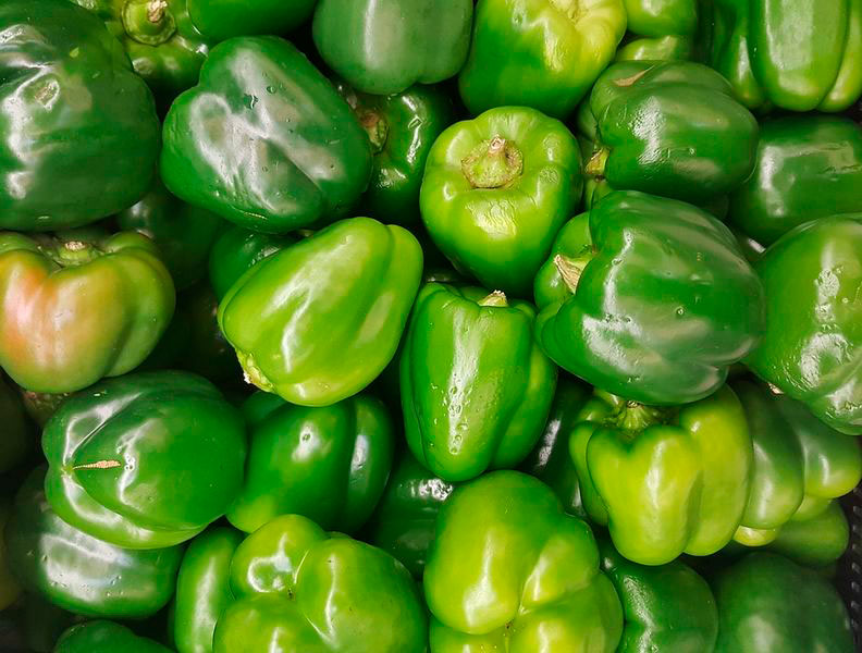 Roasted green bell pepper 2-4 'NR'