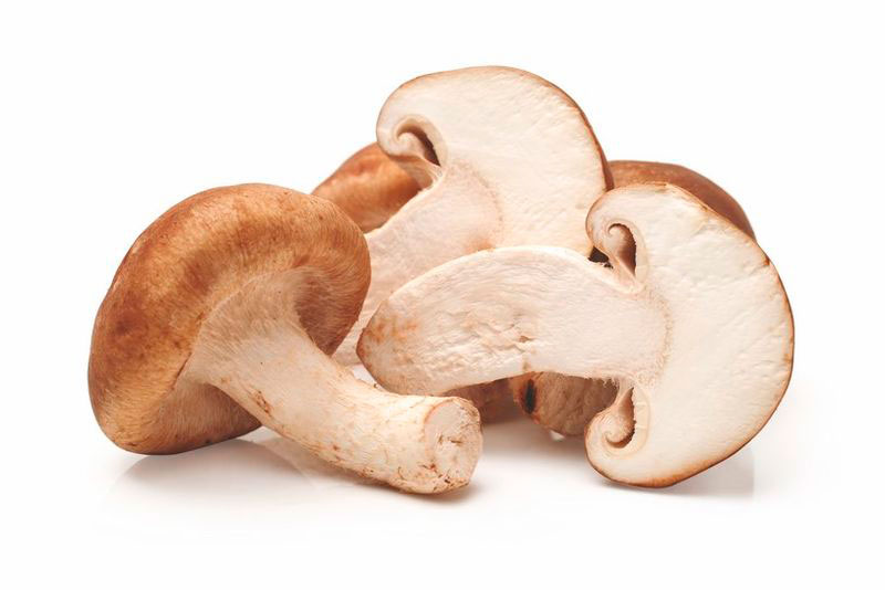 Shiitake tranches 