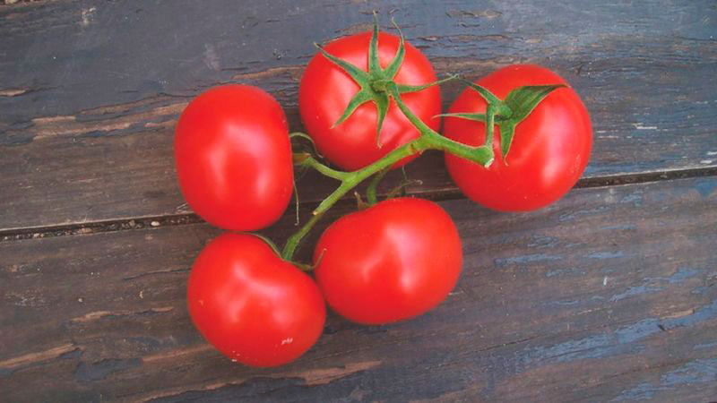 Roasted tomato 2-4 olive oil NR