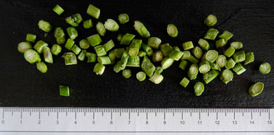 Asperge verte rondelle lyo