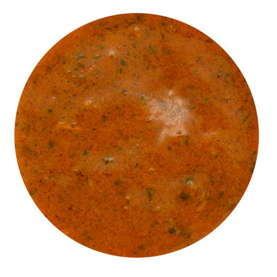 TASTE HONEY APRICOT LIQUID SEASONING