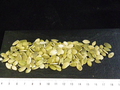 Pumpkin seeds Europe