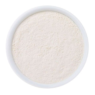 Oignon poudre Bio EU