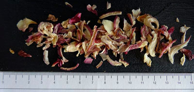 Oignon rouge cossette I MP