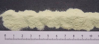 Pois sec vert précuit poudre