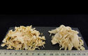 Blanched white cabbage flakes