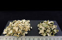 Zucchini 15x15x4