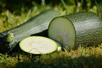 Courgette rondelle