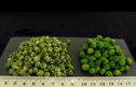 Petit pois entier