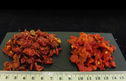 Poivron rouge 10x10 STD
