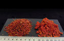 Poivron rouge 1-3