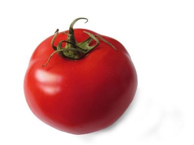 Tomate 1-3 BIO