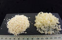 Ail granule 2-4
