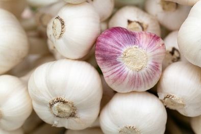 Garlic 2-4 STD