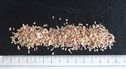 Echalote France 0,5-3mm