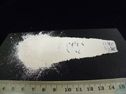 Oignon blanc poudre export
