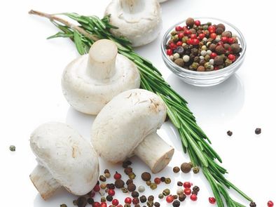 Champignon de couche poudre BIO